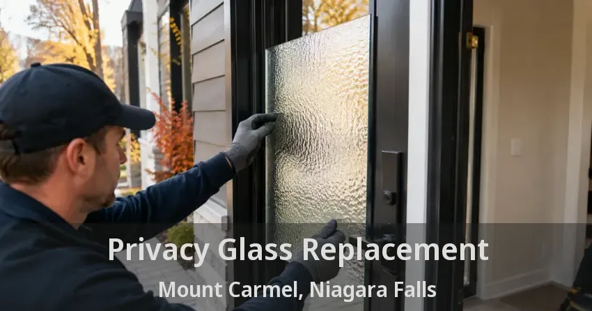 Privacy Glass Replacement Mount Carmel, Niagara Falls - ON